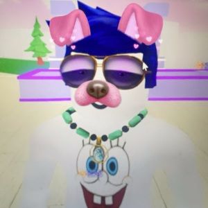 Meet your Posher, Bella